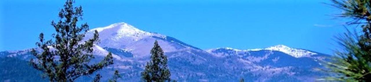 Pinecliff Village Resort Hollywood Dış mekan fotoğraf